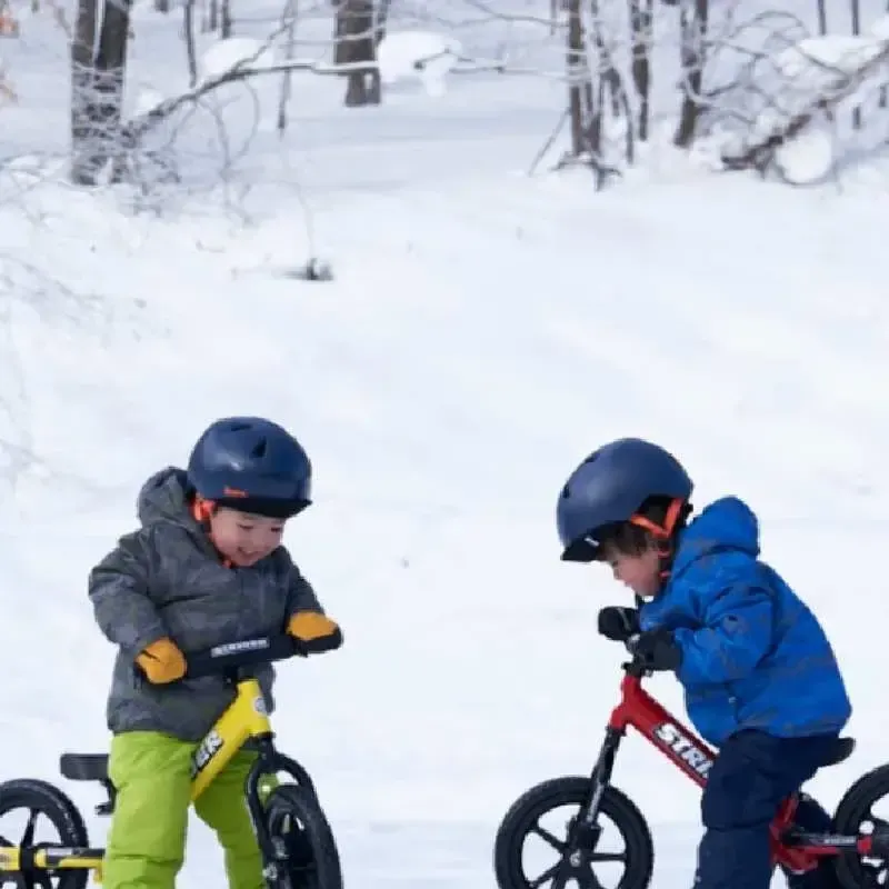 ebike advanced ebike advanced