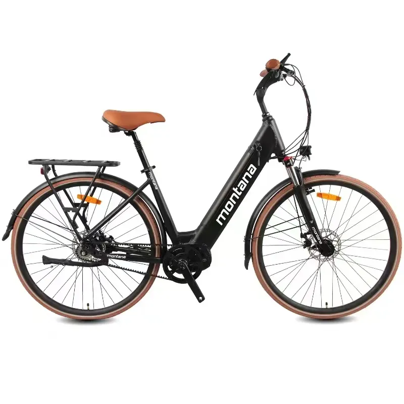 Elektrofahrrad Elektrofahrrad